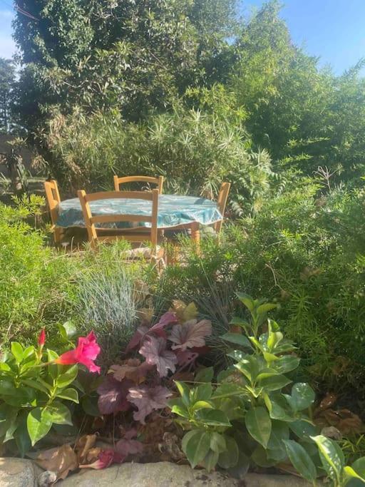 Gite Mas Provencal Tarascon Exterior foto