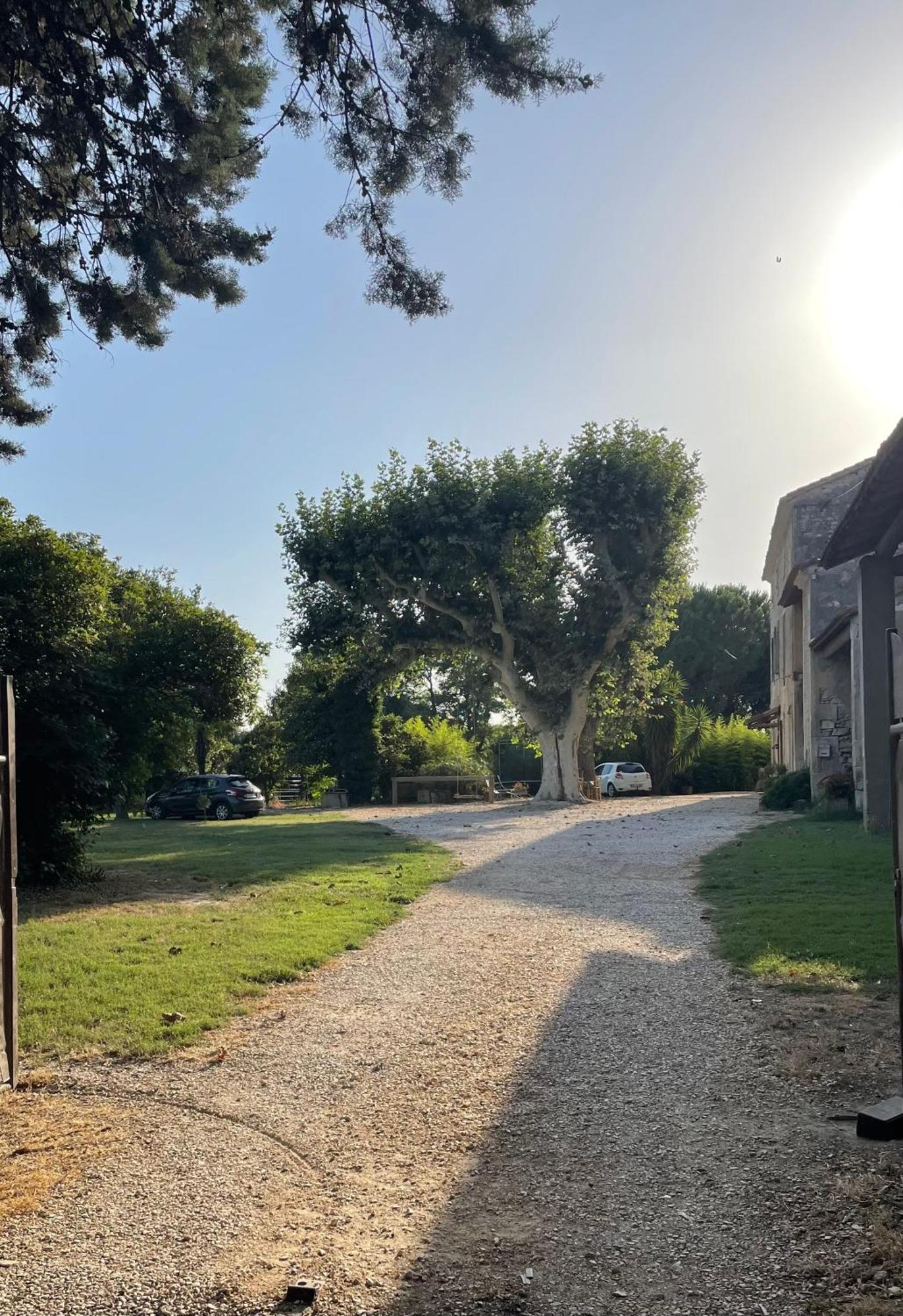 Gite Mas Provencal Tarascon Exterior foto